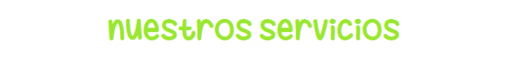 nuestros servicios.png